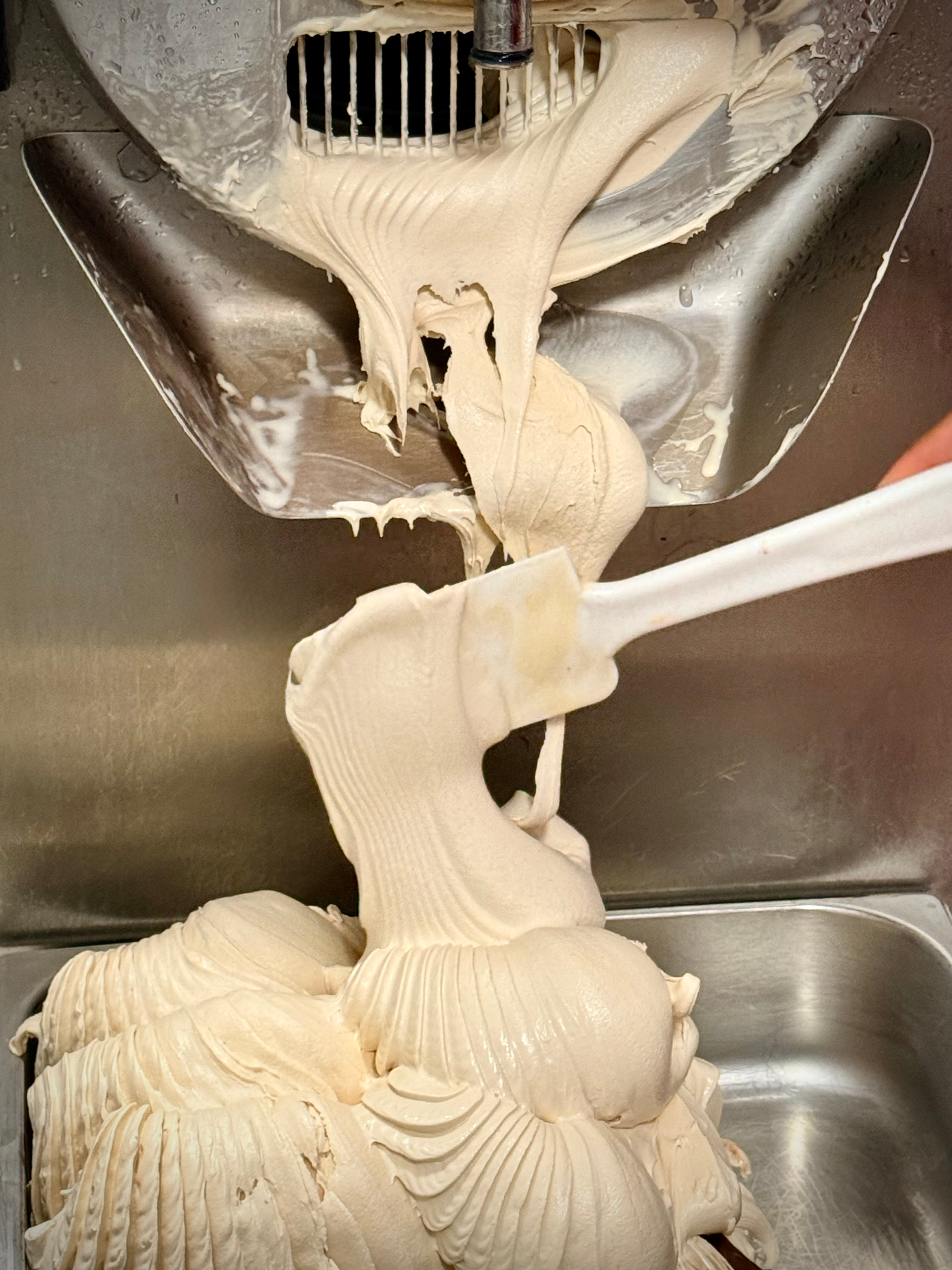 Gelato til restauranter, hoteller og kafeer i Oslo